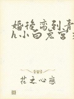 婚后脔到青梅哭h小白兔宫交h