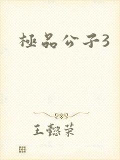 极品公子3