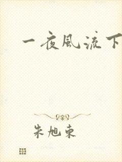 一夜风流下载