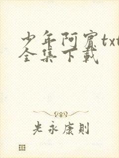 少年阿宾txt全集下载