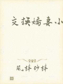 交换娇妻小说