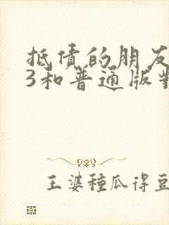 抵债的朋友麦子3和普通版对比