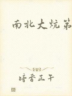 南北大炕第一部