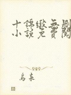 十锦缎无删原著小说免费阅读