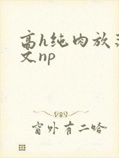 高h纯肉放荡h文np