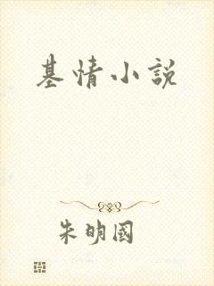 基情小说