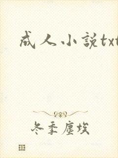 成人小说txt