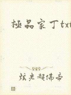 极品家丁txt