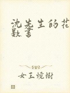 沈先生的花式调数书