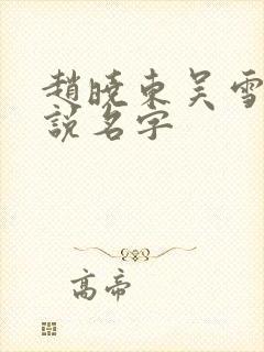 赵晓东吴雪晴小说名字