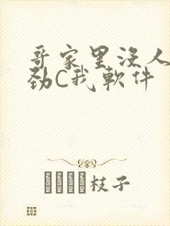 哥家里没人使点劲C我软件