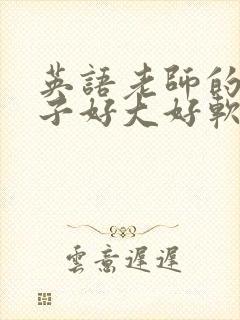 英语老师的小兔子好大好软水