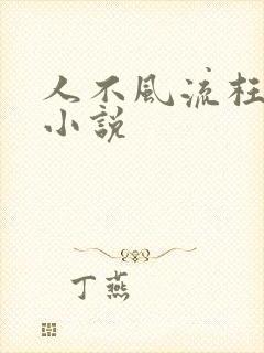 人不风流枉少年小说
