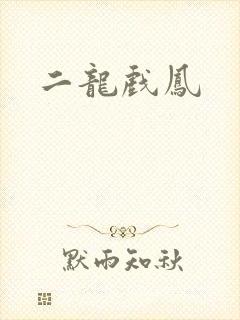 二龙戏凤