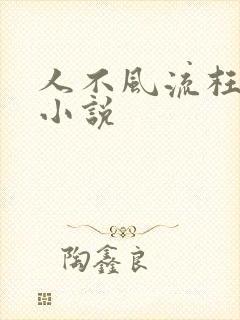 人不风流枉少年小说