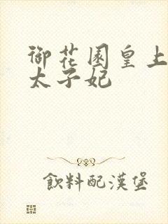 御花园皇上撞着太子妃