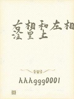 右相和左相一起淦皇上