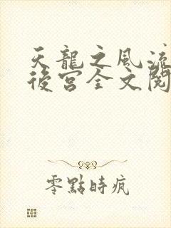 天龙之风流猎艳后宫全文阅读