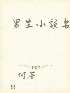 男生小说名字