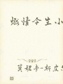 燃情今生小说
