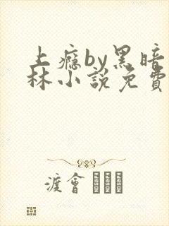 上瘾by黑暗森林小说免费