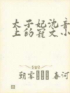 太子妃沈音和皇上的宠文小说