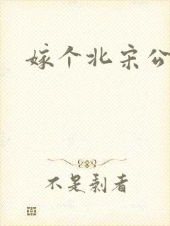 嫁个北宋公务员