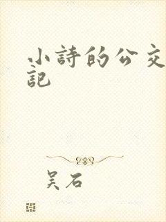 小诗的公交车日记