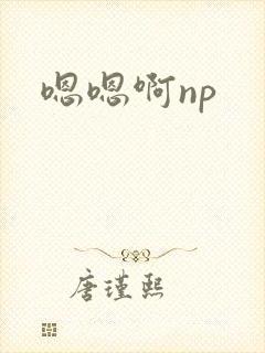 嗯嗯啊np