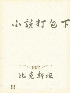 小说打包下载