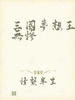 三国梦想王元姬无惨