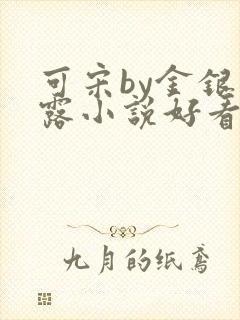 可宋by金银花露小说好看吗