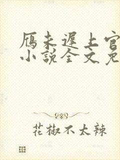 雁未迟上官穿越小说全文免费阅读