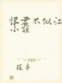 恨君不似江楼月小说