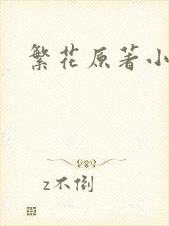 繁花原著小说