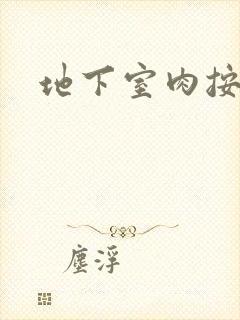 地下室肉按摩椅