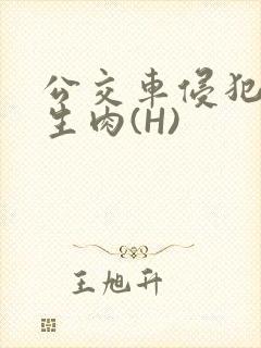 公交车侵犯小男生肉(H)