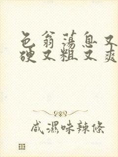 色翁荡息又大又硬又粗又爽