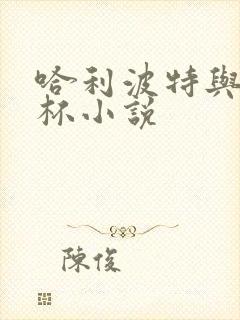 哈利波特与火焰杯小说