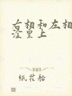 右相和左相一起淦皇上