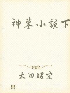 神墓小说下载