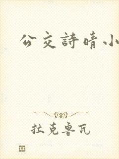 公交诗晴小说