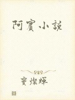 阿宾小说