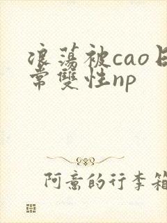 浪荡被cao日常双性np