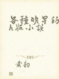 各种明星的综艺h版小说