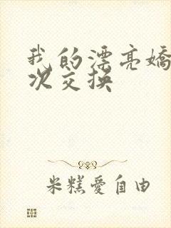 我的漂亮娇妻初次交换