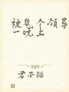 被几个领导玩弄一晚上