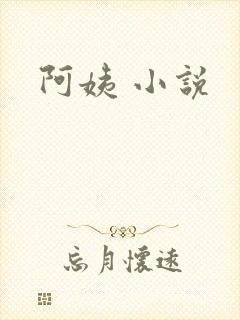 阿姨 小说