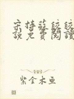 宋持苏皎皎的小说免费阅读