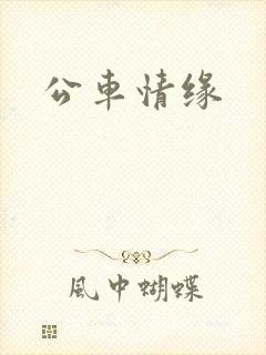 公车情缘
